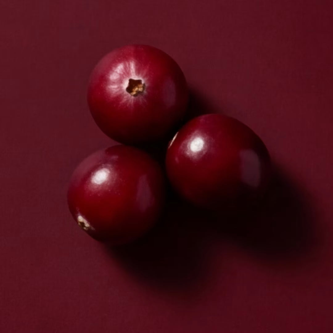 Cranberry extract with PACs for urinary protection — Segura ingredient