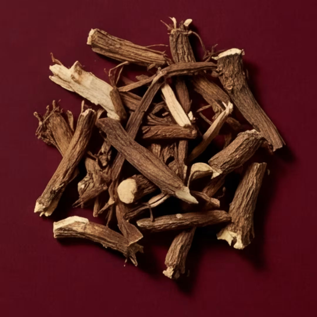 Dandelion root for liver and estrogen clearance — Segura ingredient